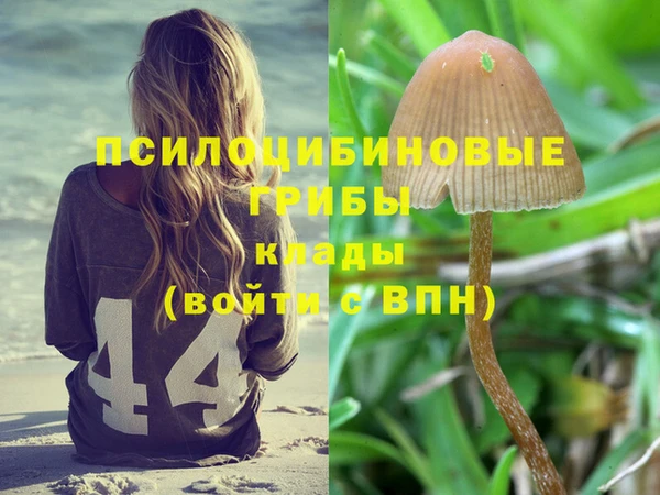 гидра Козельск