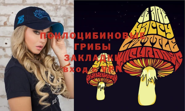 гидра Козельск