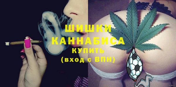 твердый Кодинск